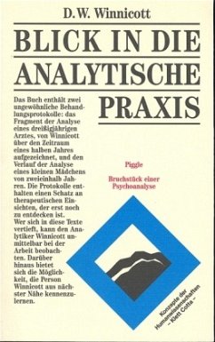 Blick in die analytische Praxis (Konzepte der Humanwissenschaften) - Winnicott, Donald W.