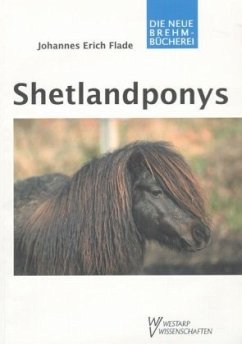 Shetlandponys - Flade, Johannes E