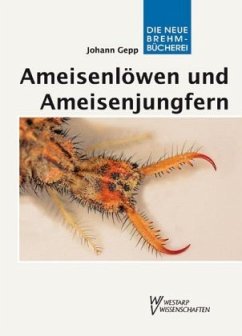 Cover Ameisenlöwen und Ameisenjungfern