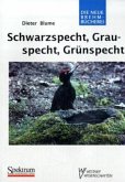 Schwarzspecht, Grauspecht, Grünspecht Schwarzspecht, Grauspecht, Grünspecht