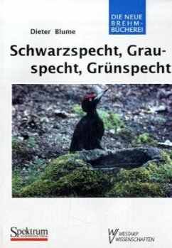 Cover Schwarzspecht, Grauspecht, Grünspecht