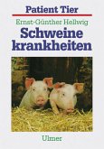 Schweinekrankheiten