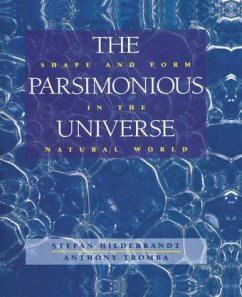 The Parsimonius Universe - Hildebrandt, Stefan; Tromba, Anthony J.