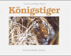 Königstiger Cover Königstiger