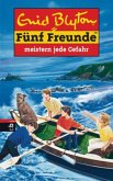 Fünf Freunde meistern jede Gefahr / Fünf Freunde Bd.22