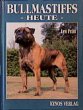 Bullmastiffs heute - Bild 1