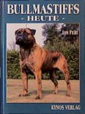 Bullmastiffs heute