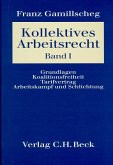 Grundlagen, Koalitionsfreiheit, Tarifvertrag, Arbeitskampf und Schlichtung