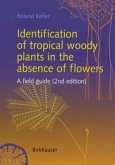 Identification of tropical woody plants in the absence of flowers