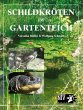 Schildkröten im Gartenteich - Bild 1