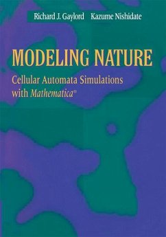 Modeling Nature - Gaylord, Richard J.;Nishidate, Kazume