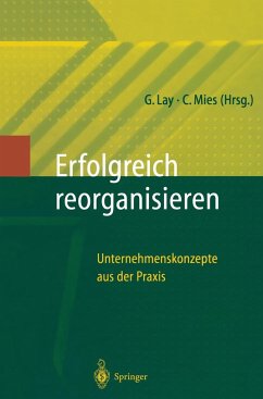 Erfolgreich Reorganisieren - Lay