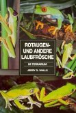 Rotaugenfrösche und andere Laubfrösche im Terrarium