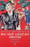 Was läuft schief mit Amerika?