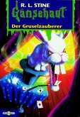 Der Gruselzauber / Gänsehaut Bd.10 Der Gruselzauber / Gänsehaut Bd.10