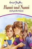 Hanni und Nanni sind große Klasse / Hanni und Nanni Bd.17