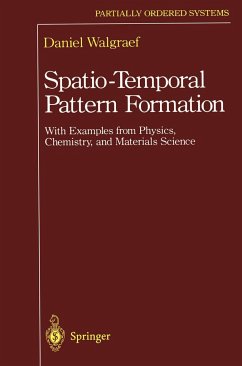 Spatio-Temporal Pattern Formation - Walgraef, Daniel