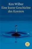 Eine kurze Geschichte des Kosmos