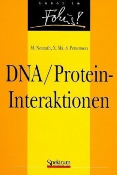 DNA-Protein-Interaktionen - Neurath, Markus F.; Xiaojing Ma; Pettersson, Sven
