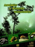 Amphibien & Reptilien Südostasiens