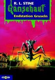 Endstation Gruseln / Gänsehaut Bd.18 Endstation Gruseln / Gänsehaut Bd.18
