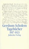 Tagebücher nebst Aufsätzen und Entwürfen bis 1923