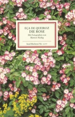 Die Rose - Eça de Queiroz, José M.