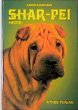 Shar-Pei heute - Bild 1
