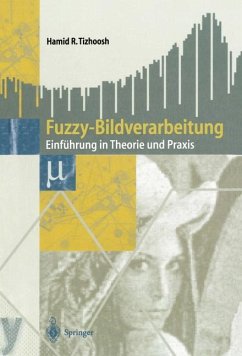 Fuzzy-Bildverarbeitung - Tizhoosh, Hamid R.