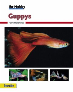 Guppys - Hieronimus, Harro