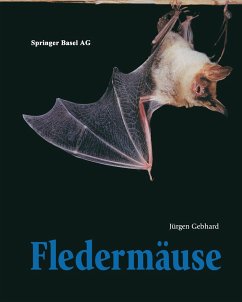 Fledermäuse - Gebhard, Jürgen