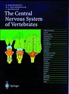 The Central Nervous System of Vertebrates, 3 vols. - Nieuwenhuys, Rudolf; Ten Donkelaar, Hans J.; Nicholson, Charles
