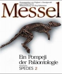 Cover Messel, Ein Pompeji der Paläontologie