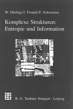 Komplexe Strukturen: Entropie und Information - Freund, Jan;Schweitzer, Frank