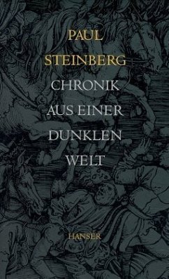 Chronik aus einer dunklen Welt - Steinberg, Paul