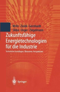 Zukunftsfähige Energietechnologien für die Industrie - Mohr, Markus;Ziolek, Andreas;Gernhardt, Dirk