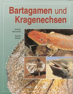 Bartagamen und Kragenechsen - Hauschild, Andree;Bosch, Hubert