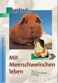 Mit Meerschweinchen leben