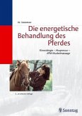 Die energetische Behandlung des Pferdes