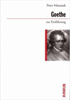 Goethe zur Einführung - Matussek, Peter