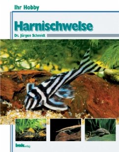 Harnischwelse - Schmidt, Jürgen