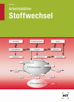 Arbeitsblätter Stoffwechsel zu den Grundfragen der Ernährung - Schlieper, Cornelia A.