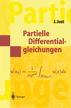 Partielle Differentialgleichungen - Jost, Jürgen