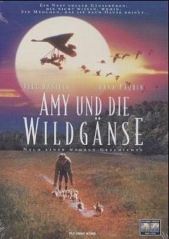 Amy & die Wildgänse