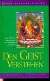 Den Geist verstehen