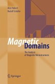 Magnetic Domains