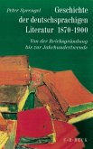 Geschichte der deutschsprachigen Literatur 1870-1900 / Geschichte der deutschen Literatur von den Anfängen bis zur Gegenwart Bd.9/1