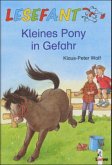 Kleines Pony in Gefahr