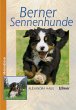 Berner Sennenhunde - Bild 1