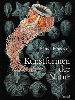 Kunstformen der Natur - Haeckel, Ernst